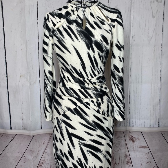 Cache Zebra Dress - Picture 8 of 10